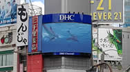 |ʮ·DHC Channel